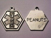 Peanuts Medical Alert Genuine American Pewter Charm