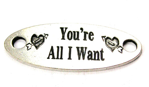 You're All I Want - 2 Hole Connector Genuine American Pewter Charm