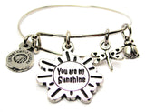 You Are My Sunshine Dreaming Of Spring Lady Bug Dragonfly Expandable Bangle Bracelet Set