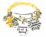 You Are My Sunshine Dreaming Of Spring Lady Bug Dragonfly Expandable Bangle Bracelet Set