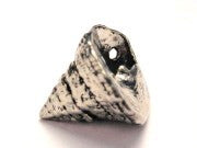 Spiral Seashell Genuine American Pewter Charm